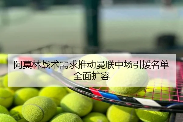 阿莫林战术需求推动曼联中场引援名单全面扩容